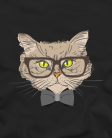Smart cat